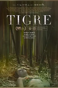 Главный постер фильма «Тигре (2017)»