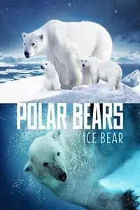 Постер к фильму «Polar Bears: Ice Bear (2013)»