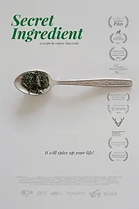 Постер к фильму «Целитель (2017)»