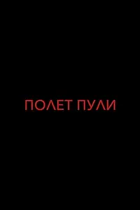 Постер к фильму «Полет пули (2017)»