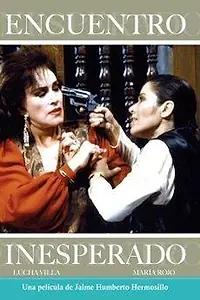 Главный постер фильма «Неожиданная встреча (1993)»