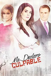 Постер к сериалу «Я признаю свою вину (2017 - 2018)»