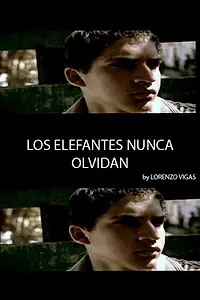 Постер к фильму «Los elefantes nunca olvidan (2004)»