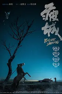 Постер к фильму «Убей тень (2017)»