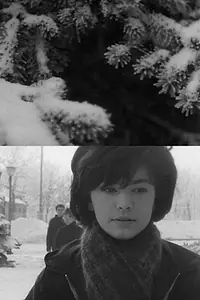 Постер к фильму «Terasz mínusz tíz fok (1964)»