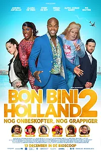 Постер к фильму «Добро пожаловать в Нидерланды 2 (2018)»