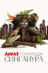 Постер к сериалу «Дикая природа Сингапура (2016 - 2020)»