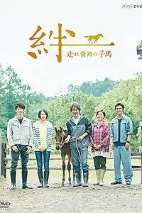 Главный постер сериала «Узы: Чудесный жеребёнок (2017)»