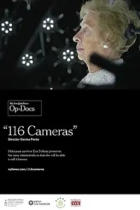 Постер к фильму «116 камер (2017)»