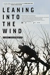 Постер к фильму «Leaning Into the Wind: Andy Goldsworthy (2017)»