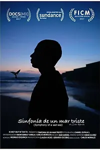 Главный постер фильма «Sinfonía de un mar triste (2017)»