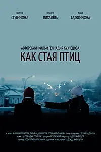 Постер к фильму «Как стая птиц (2017)»