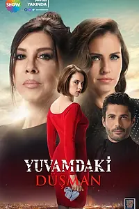 Постер к сериалу «Враг в моем доме (2018)»
