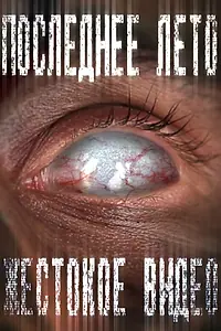 Постер к фильму «Последнее лето 3: Жестокое видео (2012)»