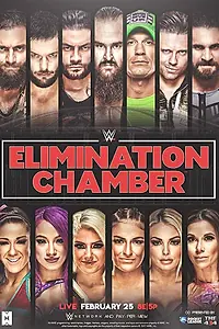 Главный постер фильма «WWE Камера ликвидации (2018)»