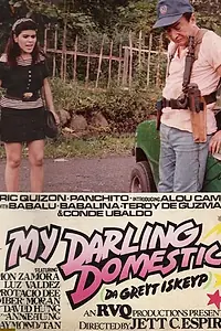 Главный постер фильма «My Darling Domestik (1989)»