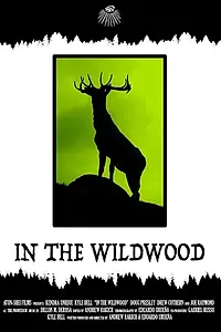 Главный постер фильма «In the Wildwood (2018)»