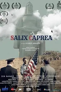 Постер к фильму «Salix Caprea (2018)»