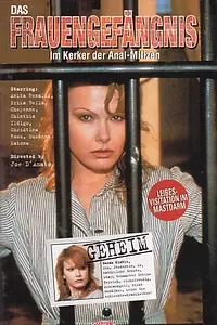 Постер к фильму «Женская тюрьма (1995)»