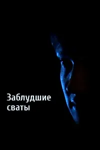 Главный постер фильма «Заблудшие сваты (2010)»