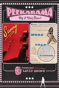 Постер к фильму «Sunny (1979)»