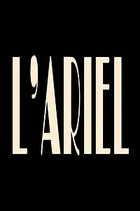 Постер к фильму «L'Ariel (2018)»