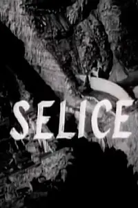 Постер к фильму «Selice (1965)»