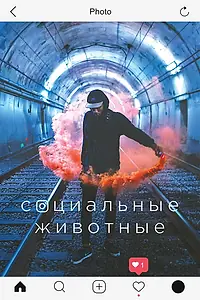 Постер к фильму «Социальные животные (2018)»