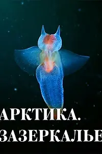 Главный постер фильма «Арктика. Зазеркалье (2017)»
