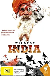Главный постер сериала «В дебрях Индии (2012)»