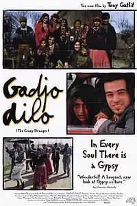 Постер к фильму «Странный чужак (1997)»