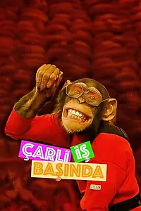 Постер к сериалу «Çarli Is Basinda (2001)»