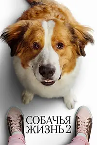 Главный постер фильма «Собачья жизнь 2 (2019)»