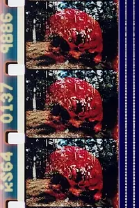 Главный постер фильма «Sun Love (1967)»
