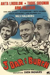 Постер к фильму «Tre dar i buren (1963)»