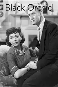 Главный постер фильма «Black Orchid (1953)»