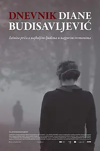 Постер к фильму «Дневник Дианы Будисавлевич (2019)»
