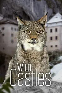 Постер к сериалу «Wild Castles (2017)»