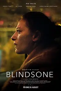 Постер к фильму «Слепое пятно (2018)»
