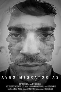 Постер к фильму «Aves Migratorias (2018)»