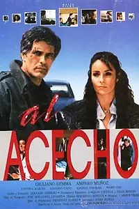 Постер к фильму «Слежка (1987)»