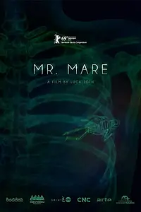 Главный постер мультфильма «Мистер Маре (2019)»