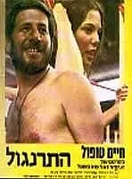 Главный постер фильма «Петушок (1971)»