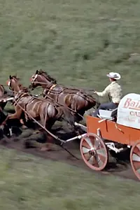 Постер к фильму «Chuckwagon (1964)»