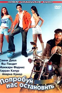 Постер к фильму «Попробуй нас остановить (2004)»