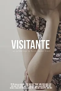 Постер к фильму «A Visitor (2017)»