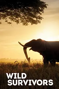 Постер к сериалу «Wild Survivors (2017)»