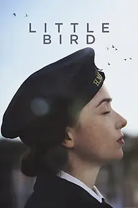 Главный постер фильма «Little Bird (2017)»