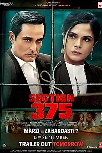 Главный постер фильма «Раздел 375 (2019)»