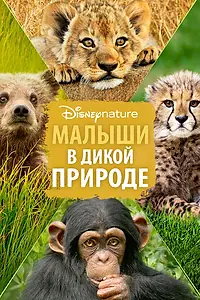 Главный постер фильма «Малыши в дикой природе (2015)»